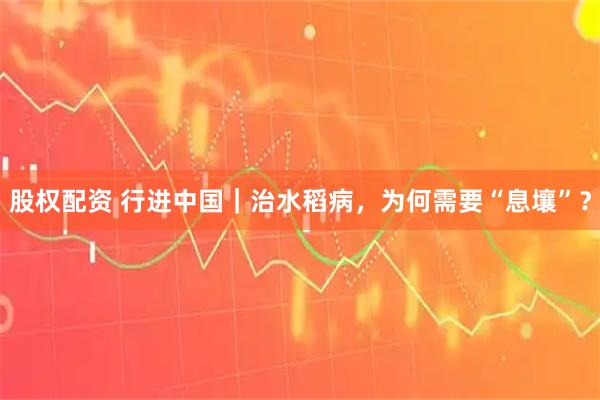 股权配资 行进中国｜治水稻病，为何需要“息壤”？