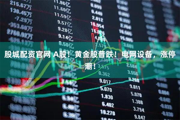股城配资官网 A股！黄金股普跌！电网设备，涨停潮！